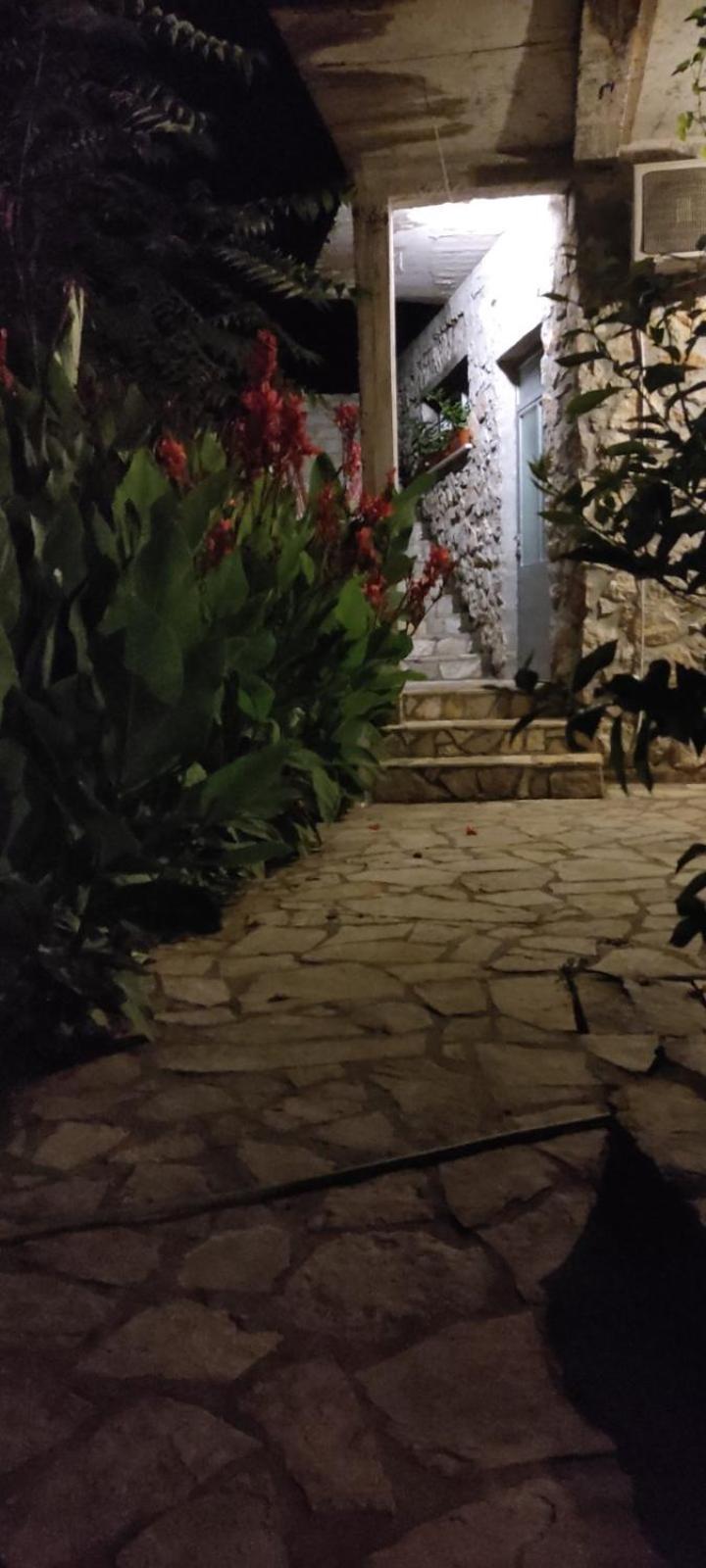 Vesna'S Dream Apartment Budva Exterior photo